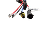Load image into Gallery viewer, Diode Dynamics HID Bulb D2H 8000K (Pair)