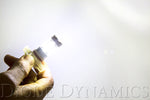 Load image into Gallery viewer, Diode Dynamics 5202/PSX24W XP80 LED - Cool - White (Pair)