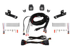 Load image into Gallery viewer, Diode Dynamics 15-20 Ford F-150 C1 Pro Stage Series Reverse Light Kit