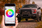 Load image into Gallery viewer, Diode Dynamics - Bluetooth RGBW M8 Controller 1ch