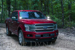 Load image into Gallery viewer, Diode Dynamics 15-20 Ford F-150/Raptor Ditch Light Brackets