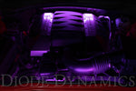Load image into Gallery viewer, Diode Dynamics RGBW Engine Bay Strip Kit 2pc Multicolor