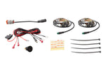 Load image into Gallery viewer, Diode Dynamics RGBW Grille Strip Kit 2pc Multicolor