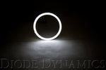 Load image into Gallery viewer, Diode Dynamics Halo Lights LED 150mm - Red (Pair)