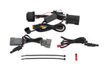 Load image into Gallery viewer, Diode Dynamics C1R Hitch Mount Harness for F-150 15-20
