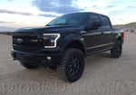 Load image into Gallery viewer, Diode Dynamics 15-17 Ford F-150/17-19 Ford Raptor Switchback LED Boards