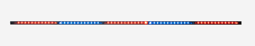 Whelen Tracer Super-LED Running Board Light WeCanX