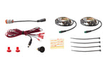 Load image into Gallery viewer, Diode Dynamics RGBW Footwell Strip Kit 2pc Multicolor