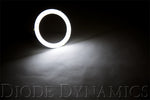 Load image into Gallery viewer, Diode Dynamics Halo Lights LED 70mm - Red (Pair)