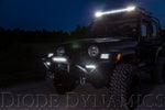 Load image into Gallery viewer, Diode Dynamics 12 In LED Light Bar Single Row Straight Clear Wide (Pair) Stage Series