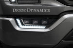Load image into Gallery viewer, Diode Dynamics 21-23 Ford F-150 Elite Fog Lamps - Yellow