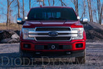Load image into Gallery viewer, Diode Dynamics 15-20 Ford F-150/Raptor Ditch Light Brackets
