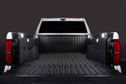 Diode Dynamics Stage Series LED Bed Light Kit for Toyota Tacoma- White Diffused