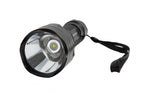 Load image into Gallery viewer, Diode Dynamics 800 Lumen Flashlight