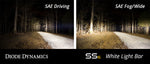 Load image into Gallery viewer, Diode Dynamics 12 In LED Light Bar Single Row Straight Clear Wide (Pair) Stage Series