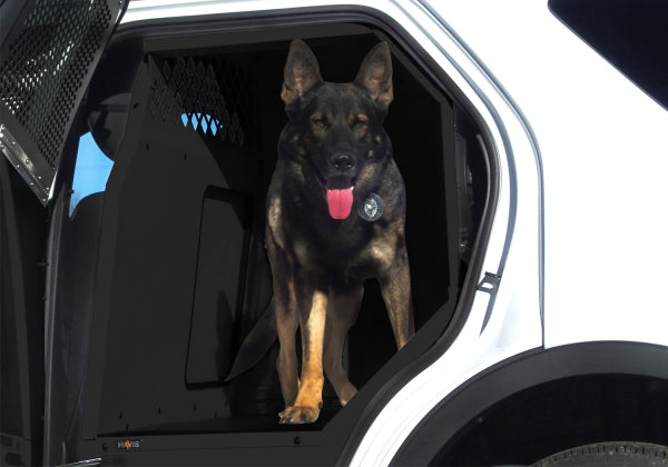 Havis K9 Prisoner Transport System for 2013-2019 Ford Police Interceptor Utility - White