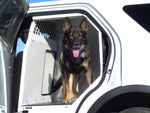 Load image into Gallery viewer, Havis K9 Prisoner Transport System for 2013-2019 Ford Police Interceptor Utility - White
