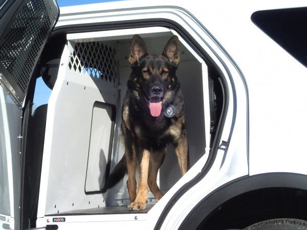 Havis K9 Prisoner Transport System for 2013-2019 Ford Police Interceptor Utility - White