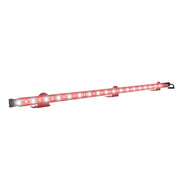 Abrams Mustang 3X - 38